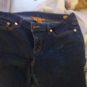 Tory Burch Blue Straight Leg Jeans with Classic Styling